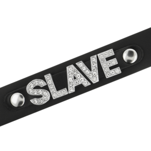 Coquette Accessories-Zgardă Slave din Piele Vegană 11 Coquette Accessories-Zgardă Slave din Piele Vegană - imagine 5
