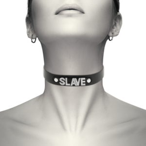 Coquette Accessories-Zgardă Slave din Piele Vegană 12 Coquette Accessories-Zgardă Slave din Piele Vegană - imagine 6