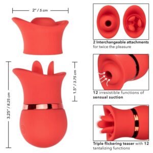Calexotics-French Kiss Suck & Play Set-Silicon, 12 Trepte 17 Calexotics-French Kiss Suck & Play Set-Silicon, 12 Trepte - imagine 7