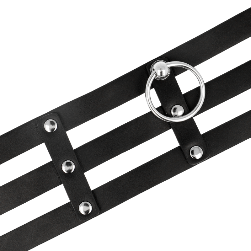 Coquette Accessories-Coquette Chic Desire Choker Piele Vegană 4 img 140228 1cdd546d0bf1be6f54385b49ca9e8b8c 1