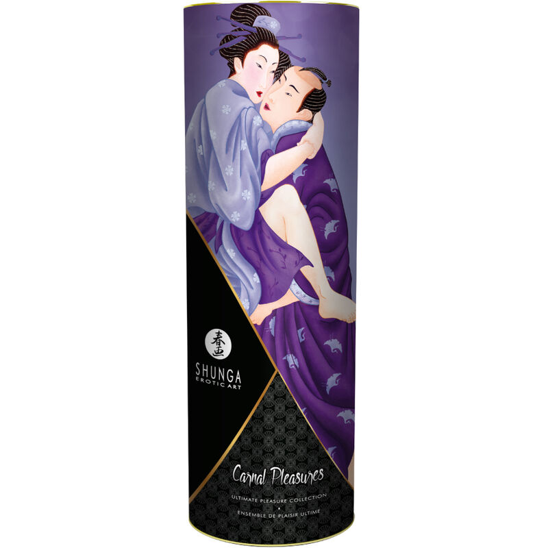 Shunga - Kit Plăceri Carnale 2 img 162968 d546de20e993cba44fa1d9b06d70d41d 1