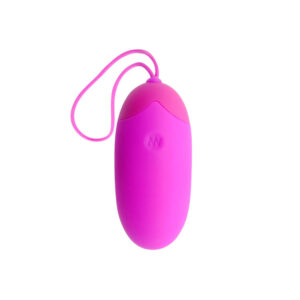 Remote Control-Ou Berger cu Telecomandă 12 V-Silicon, 12 Trepte 16 Remote Control-Ou Berger cu Telecomandă 12 V-Silicon, 12 Trepte - imagine 6