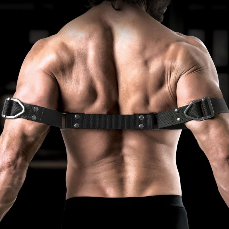 Sir Richards - Command Legător Robust pentru Biceps 4 img 52520 73e1e0f88f2fd05c07075be33e494e7a 1