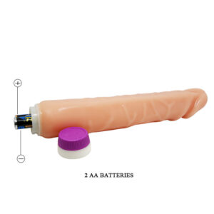 Baile-Valuri de Plăcere Vibrator Realist Vibrant 25.5 Cm 15 Baile-Valuri de Plăcere Vibrator Realist Vibrant 25.5 Cm - imagine 7