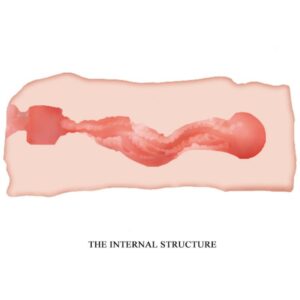 Crazy Bull-Jane Vagina Masturbator 13.5 cm-TPR, Waterproof 9 Crazy Bull-Jane Vagina Masturbator 13.5 cm-TPR, Waterproof - imagine 3