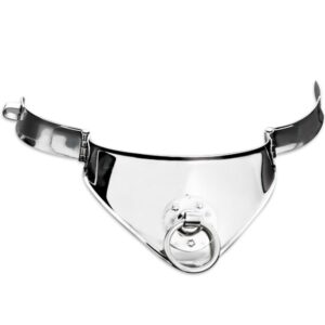 Metal Hard-Guler Restraint cu Inel si Lacăt 12.5 Cm - imagine 3