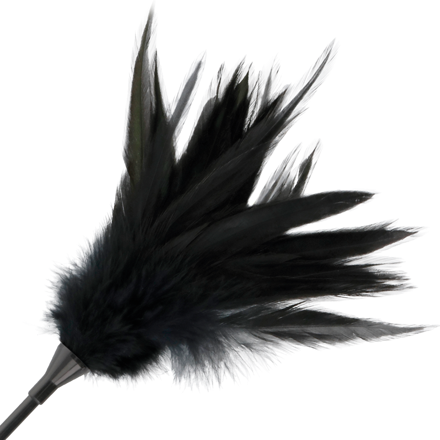 Darkness Sensations-Bici cu Pene Negru 3 img 78855 7b83b25316070a88647c9eadae23b63e 1