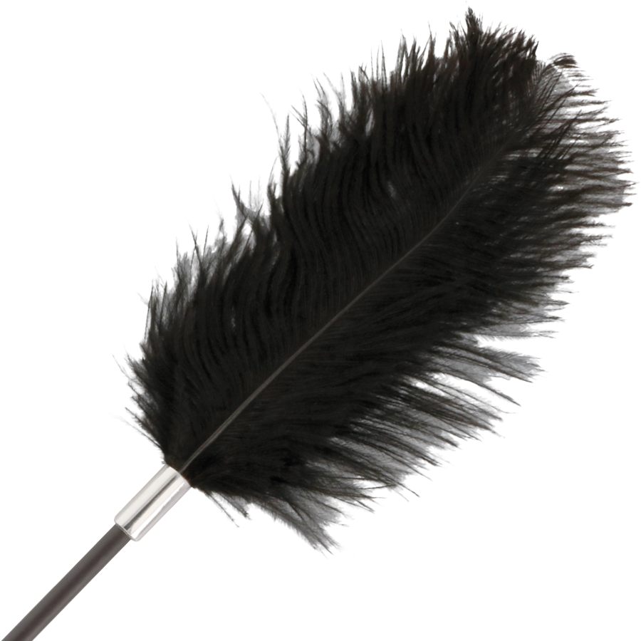 Darkness Sensations-Black Love Bici cu Pene 56 cm 2 img 78857 efe38955f1c711488f1cf3848ed687ca 1