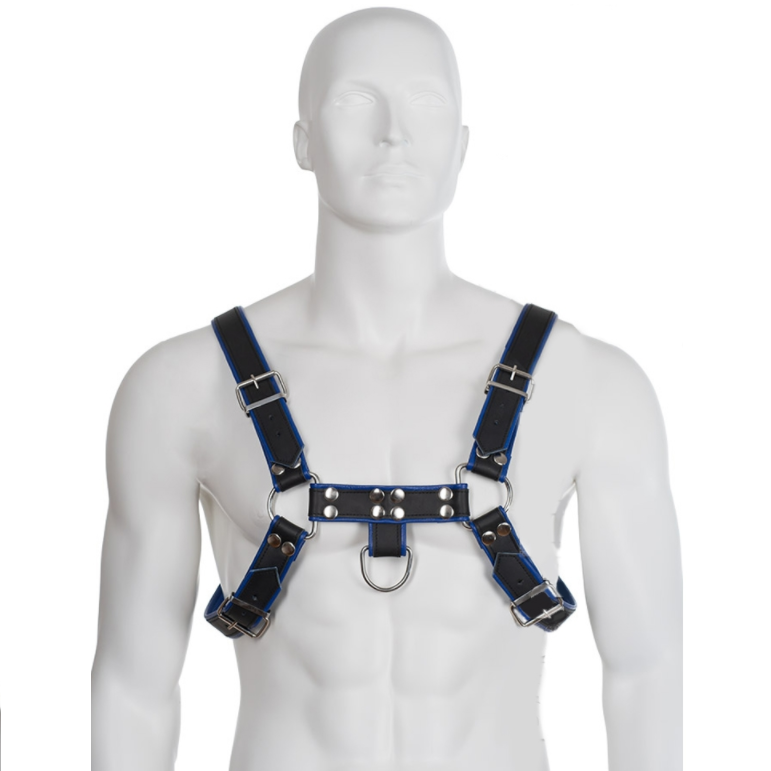 Leather Body-Ham Pectoral din Piele Albastru si Negru Bulldog 1 img 90295 fd01ef5318d6f3f3d31ce8c7c8320bb0 1