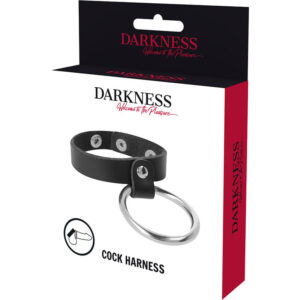 Darkness Bondage-Inel Metalic pentru Penis și Testicule - imagine 5