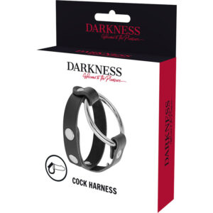 Darkness Bondage-Inel Bdsm pentru Penis și Testicule-Metal 10 Darkness Bondage-Inel Bdsm pentru Penis și Testicule-Metal - imagine 5