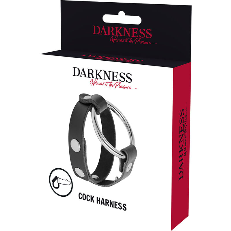 Darkness Bondage-Inel Bdsm pentru Penis și Testicule-Metal 5 img 93904 9bd100ee541a266f73b6d11829101a03 1
