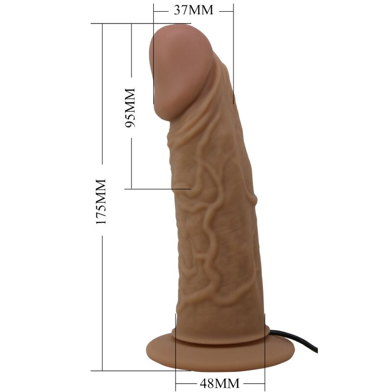 Harness Collection-Chilot Harness cu Dildo Vibrator Inclus-Silicon 2 img 158271 36698f9338aaeadcada722e063e12e9e 1