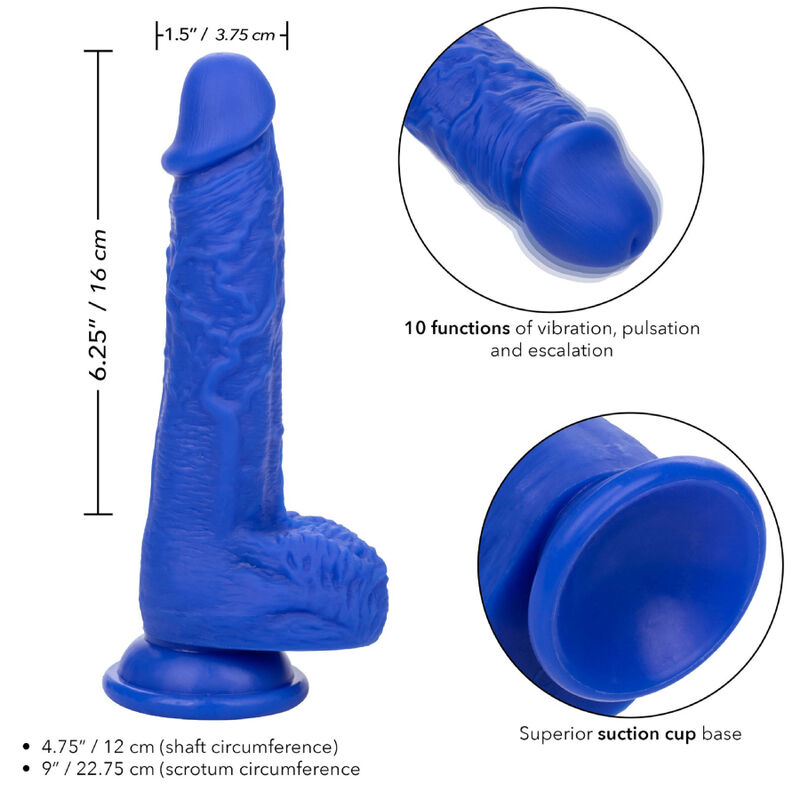 Calexotics-Admiral Sailor Dildo Realist Vibrator 4 img 165826 83516d09e049ca19d4c028255d3c5176 1