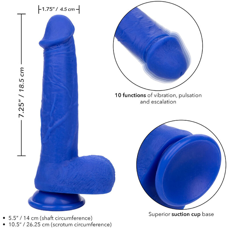 Calexotics-Captain Dildo Realist Vibrator 4 Calexotics-Admiral Captain Dildo Realist Vibrator · Vibratoare (imaginea 4)