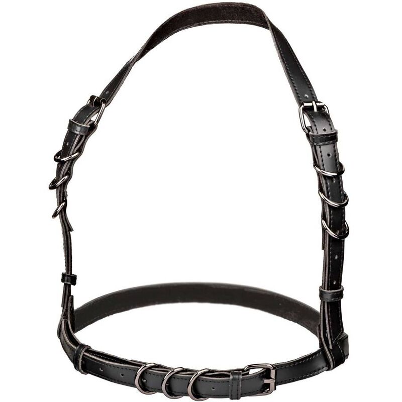 Calexotics-Euphoria Ham Halter cu Cataramă, Negru-Piele Ecologica 1 img 173028 7f244f18e84928b345abbc3cd10fa5d8 1