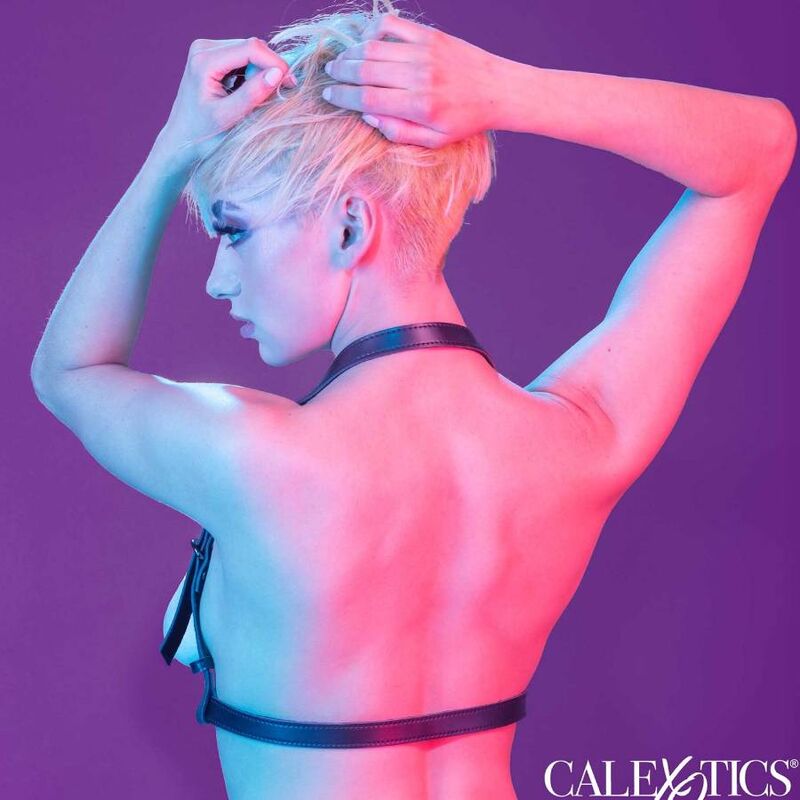 Calexotics-Euphoria Ham Halter cu Cataramă, Negru-Piele Ecologica 2 img 173033 5984fe13a985553cd1748225a64d74c1 1
