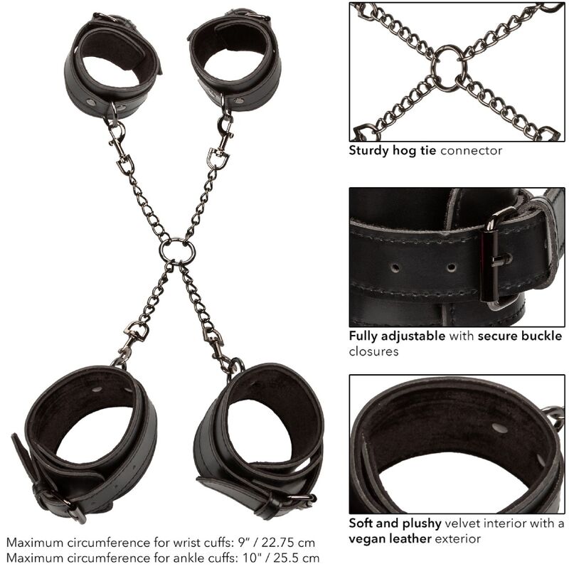Calexotics-Euphoria Hog Tie-Piele Ecologica, Rotatie 5 img 173150 ea890299982c8d5d31c633d28d52d000 1