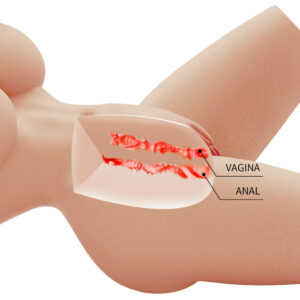 Crazy Bull-Lily Torso Realist Feminin Vagin si Anal, 4 kg-TPR 12 Crazy Bull-Lily Torso Realist Feminin Vagin si Anal, 4 kg-TPR - imagine 4