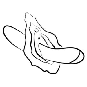 Romp-Hype Vibrator Multifuncțional G-spot Roșu-Silicon 20 Romp-Hype Vibrator Multifuncțional G-spot Roșu-Silicon - imagine 10