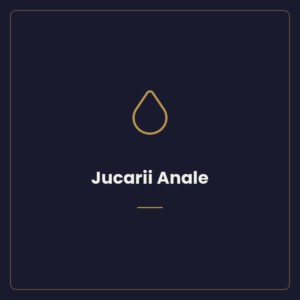 Jucarii Anale